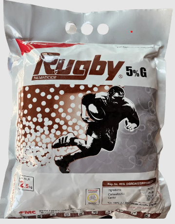 Rugby 5g