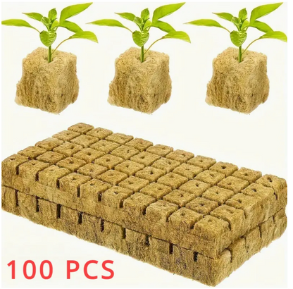 Hydroponic Grow Cubes - 100 pcs