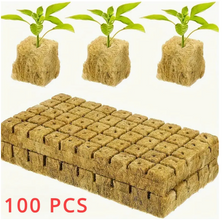ہائیڈروپونک گرو کیوبز - 100 پیس