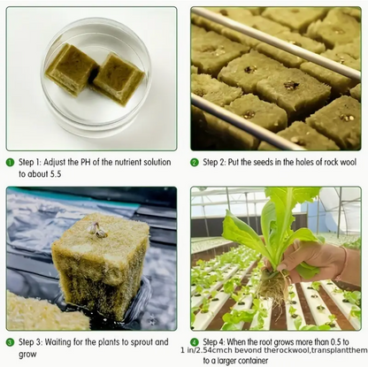 Hydroponic Grow Cubes - 100 pcs