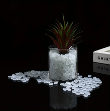 GLOW IN THE DARK Pebbles for Garden & Pots - 100pcs - White