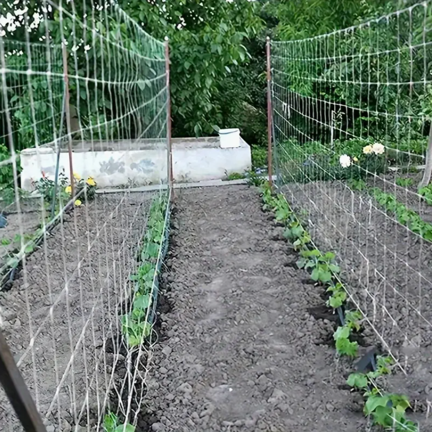 Plant Climbing Net