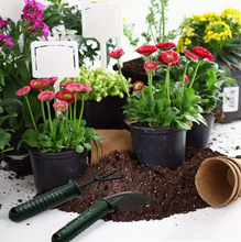 Gardening Tool Set