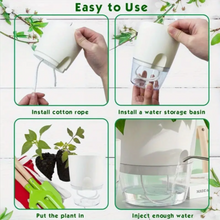 Gray Self-Watering Planters – Tabletop & Balcony