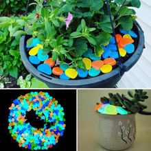 GLOW IN THE DARK Pebbles for Garden & Pots - 100pcs -Multicolor