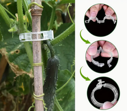 Durable 100pcs plant support clips for tomatoes, vines & vegetables. Easy snap-on, reusable, weather-resistant trellis ties. Buy online in Pakistan.
