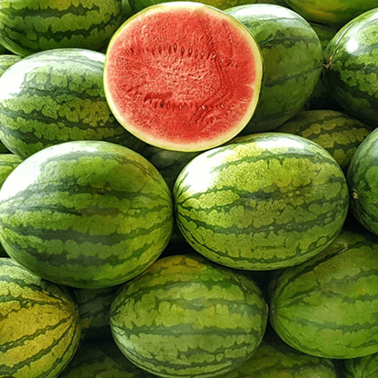 Watermelon Zebra Pattern F1 Hybrid Seeds