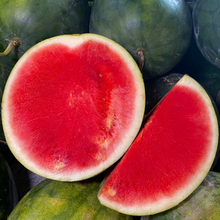 Watermelon F1 Hybrid Seeds