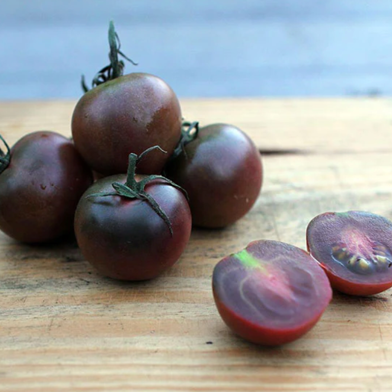 Black Cherry Tomato F1 Hybrid Imported Seeds
