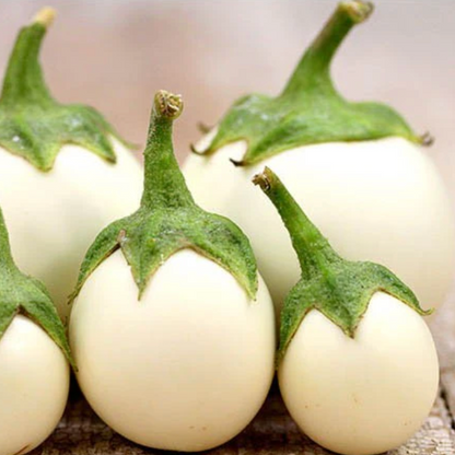 Eggplant Round F1 Hybrid Seeds