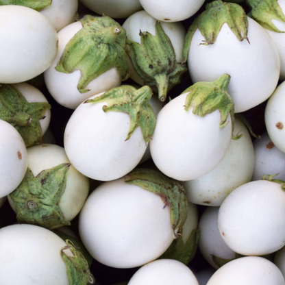 Eggplant Round F1 Hybrid Seeds