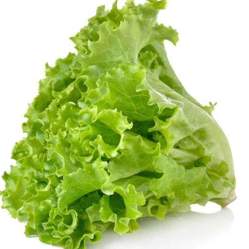 Lettuce F1 Hybrid Seeds
