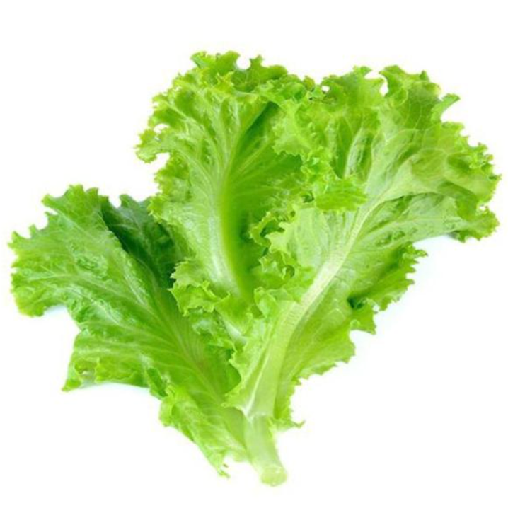 Lettuce F1 Hybrid Seeds