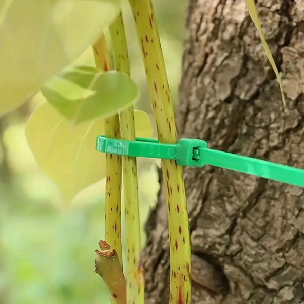 Plant Support Plastic Tie - 100 pcs