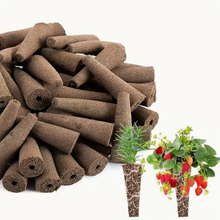 Shop Seedling Starter Sponge Kit (50pcs) online in Pakistan. Premium hydroponic grow sponges for fast germination & healthy indoor plants.