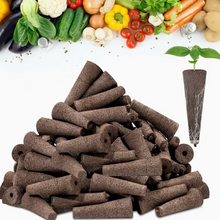 Shop Seedling Starter Sponge Kit (50pcs) online in Pakistan. Premium hydroponic grow sponges for fast germination & healthy indoor plants.