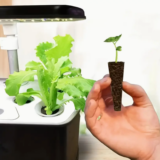 Shop Seedling Starter Sponge Kit (50pcs) online in Pakistan. Premium hydroponic grow sponges for fast germination & healthy indoor plants.