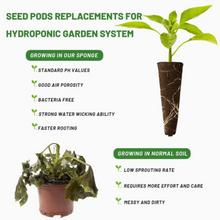 Shop Seedling Starter Sponge Kit (50pcs) online in Pakistan. Premium hydroponic grow sponges for fast germination & healthy indoor plants.