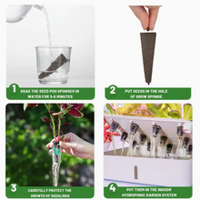 Shop Seedling Starter Sponge Kit (50pcs) online in Pakistan. Premium hydroponic grow sponges for fast germination & healthy indoor plants.