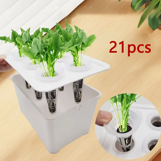 Hydroponic Nursery DIY Kit