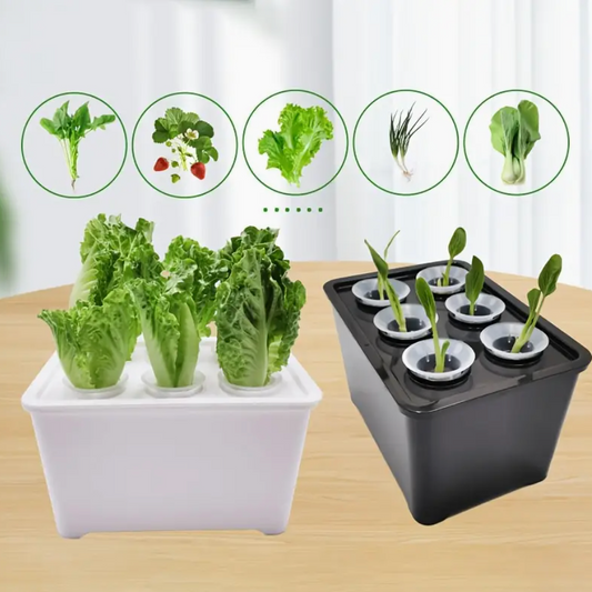 Hydroponic Nursery DIY Kit