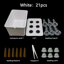 starter kit