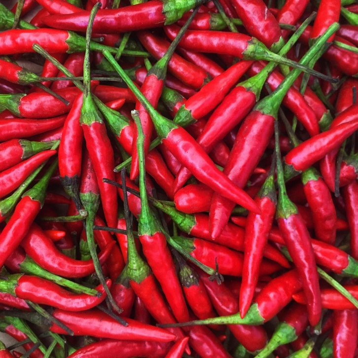 Thai Chili Pepper Imported F1 Hybrid Seeds
