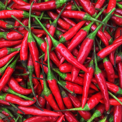 Thai Chili Pepper Imported F1 Hybrid Seeds