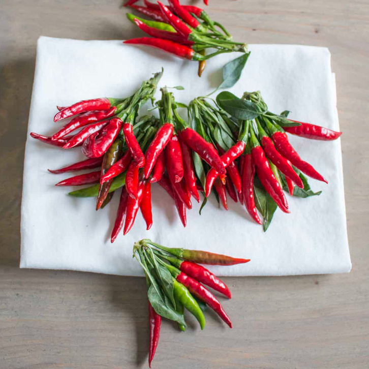 Thai Chili Pepper Imported F1 Hybrid Seeds