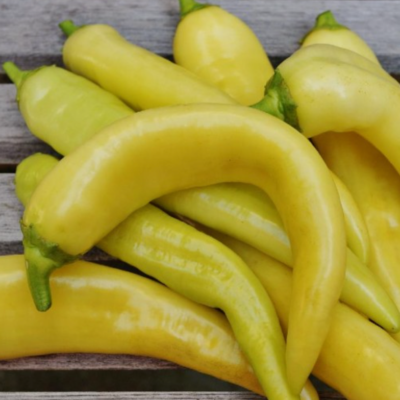Sweet Banana Pepper Imported F1 Hybrid Seeds