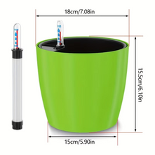 Self Watering Plant With Water Level Indicator (Green)