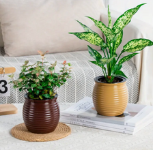 Multi Colored Round Self Watering Planters