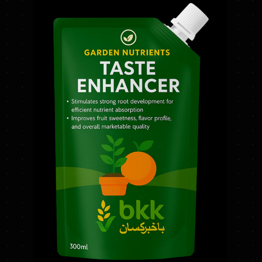 Taste Enhancer - 300ml
