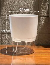 Gray Self-Watering Planters with Dimension