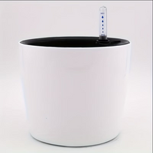 Self Watering Plant With Water Level Indicator (White)