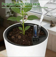 Self Watering Plant With Water Level Indicator (White)