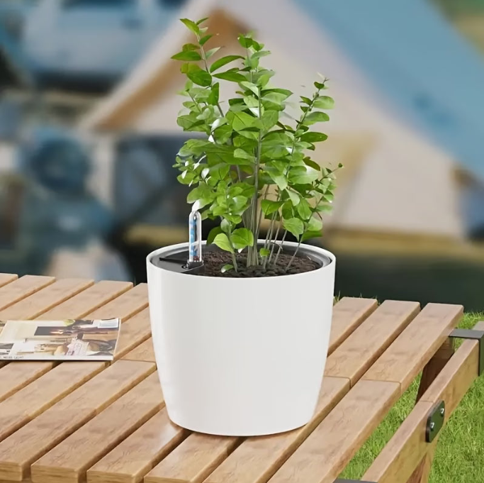 Self Watering Plant With Water Level Indicator (White)