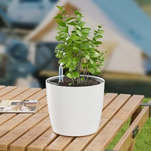 Self Watering Plant With Water Level Indicator (White)
