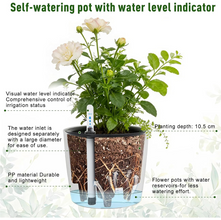 Self Watering Plant With Water Level Indicator (White)