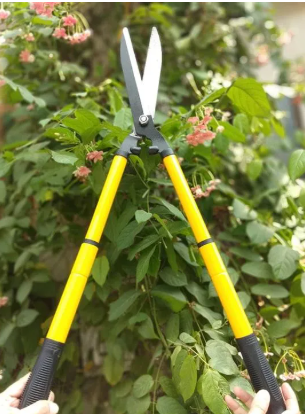 Telescopic Hedge Shear