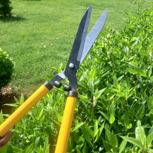 Telescopic Hedge Shear