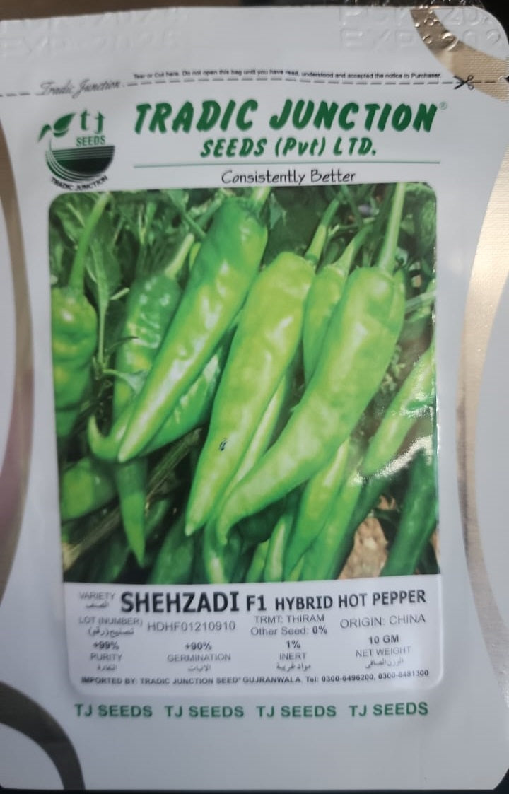 Shehzadi F1 Hybrid Pepper