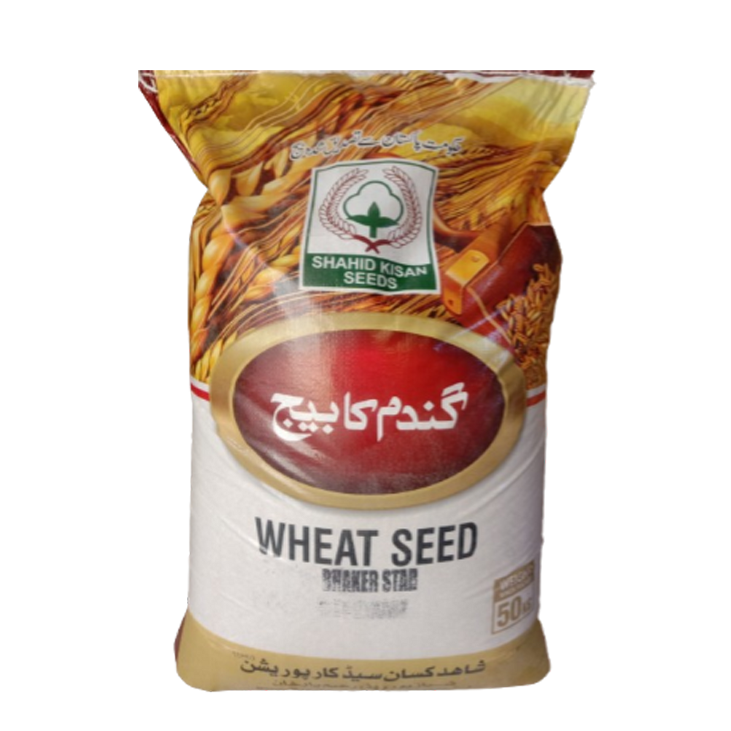 Bhakkar Star - Wheat Seed 50kg (Sargodha)