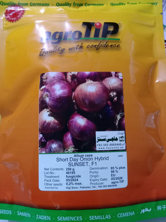 Onion Sunset F1