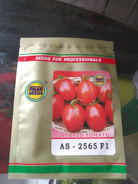 Tomato 2565