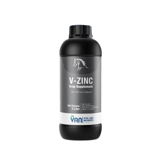 V-Zinc 3L