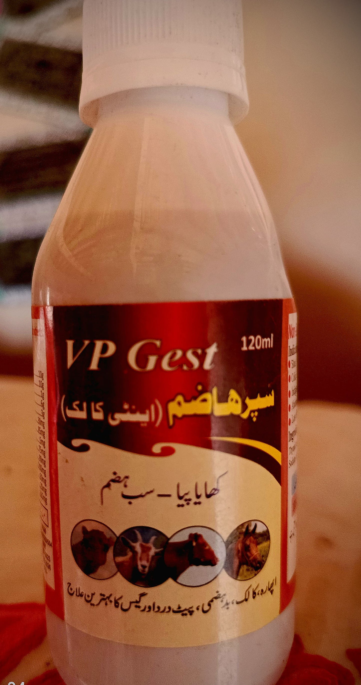 VP Gest (120ml)