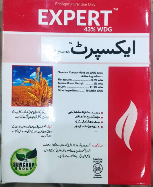 Expert 300gm