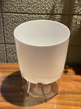 Gray Self-Watering Planters – Tabletop & Balcony
