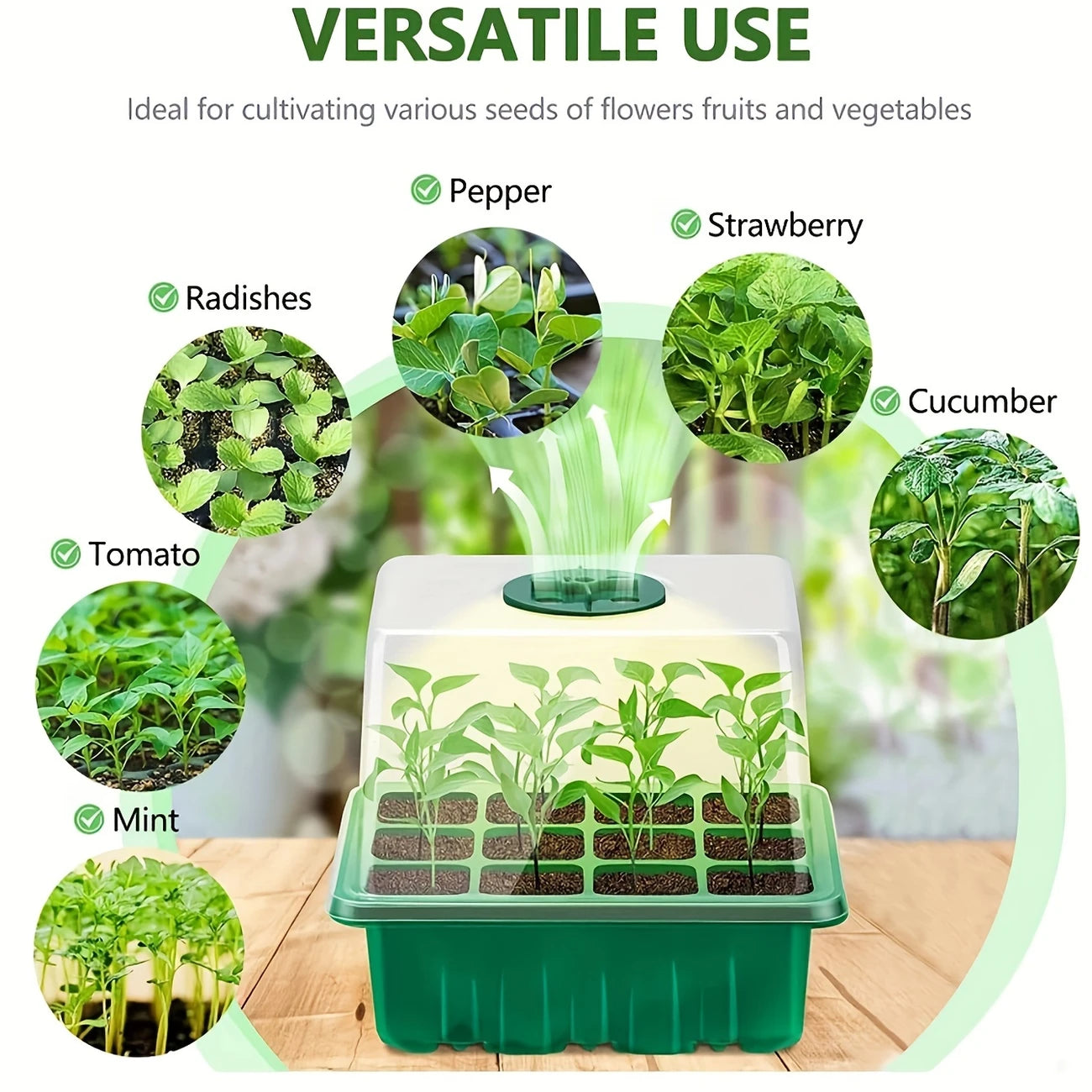 Versatile Green Seedling Starter Kit